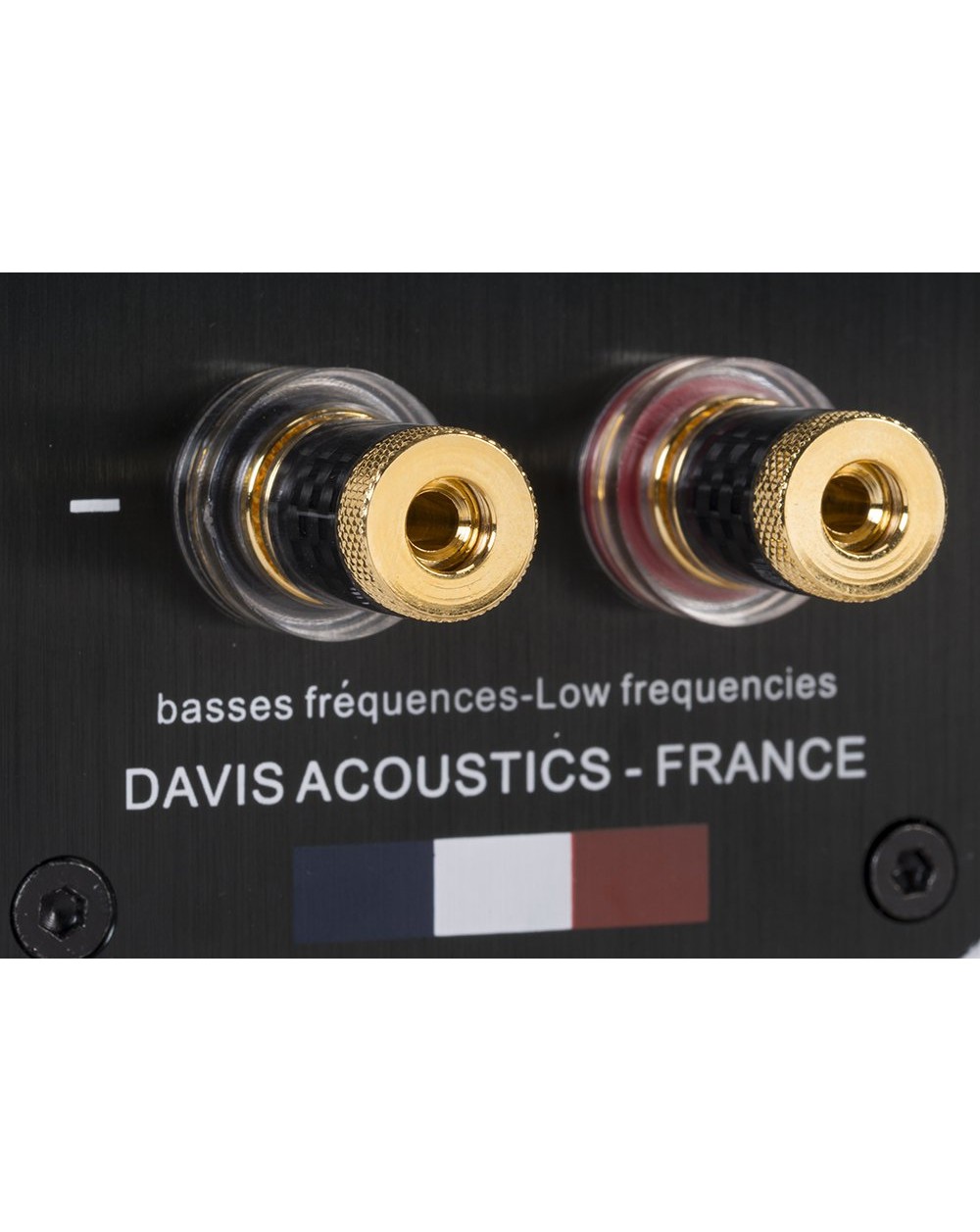 Davis Acoustics Courbet N°5