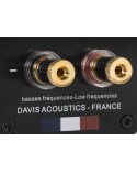 Davis Acoustics Courbet N°7