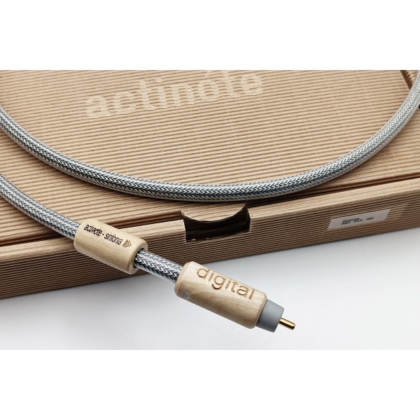 cable RCa sinfonia Actinote