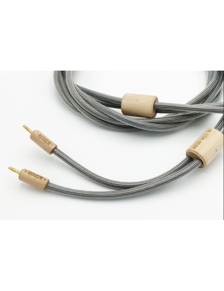 Cable haut parleur actinote sinfonia