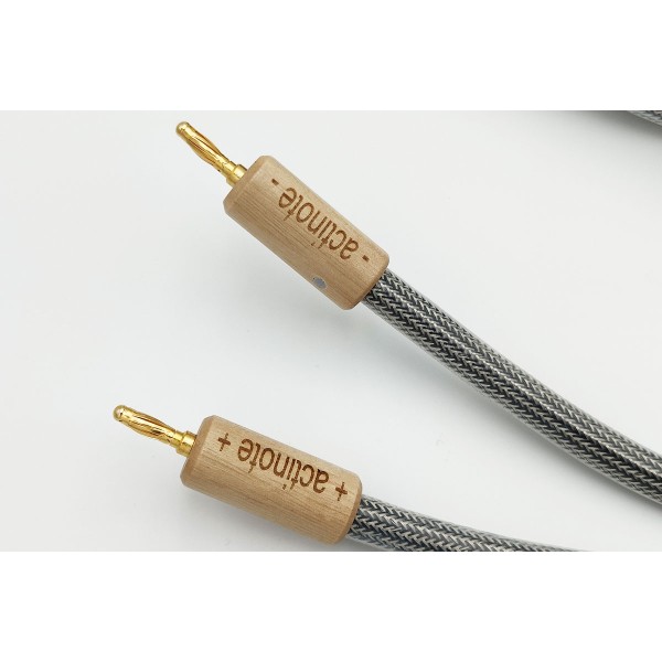 Cable haut parleur actinote sinfonia